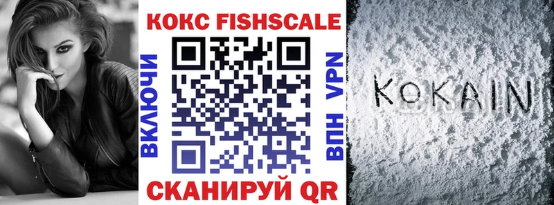 Cocaine FishScale  Купить закладки  Подпорожье 