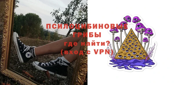 экстази Заводоуковск