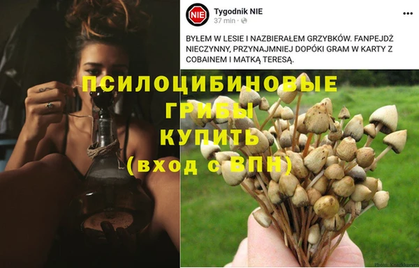 спайс Заволжье